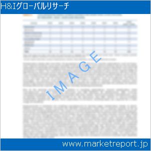 市場と産業調査レポートのイメージ